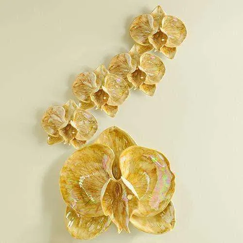 زهرة الاوركيد الذهبية Moth orchids - صورة 4