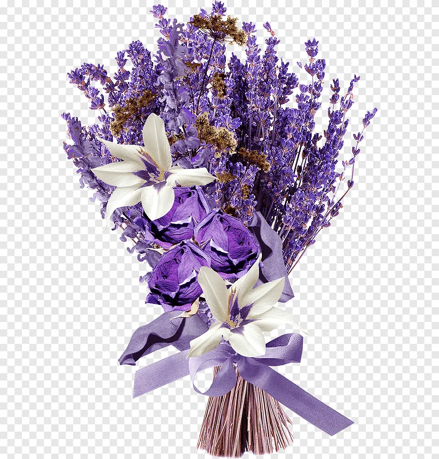 زهرة الخزامى Lavender - صورة 2