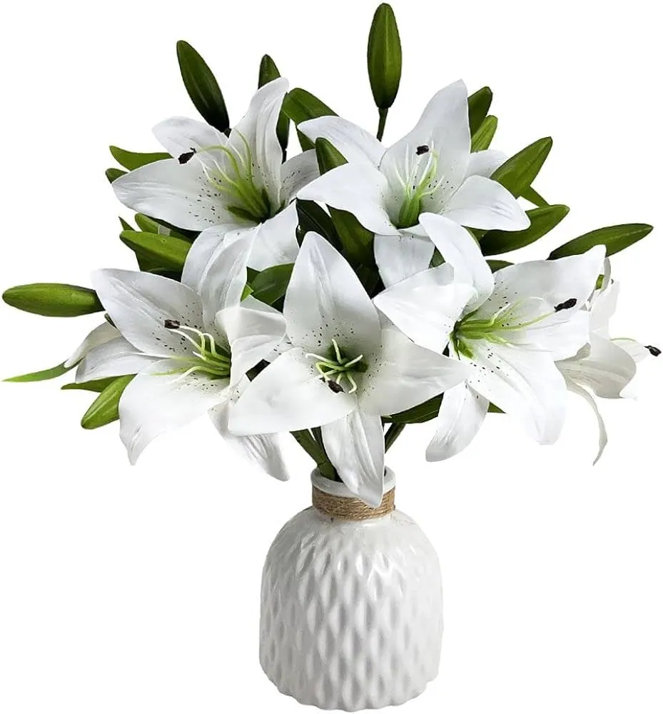 زهرة الزنبق - زهور الزنبق Lily