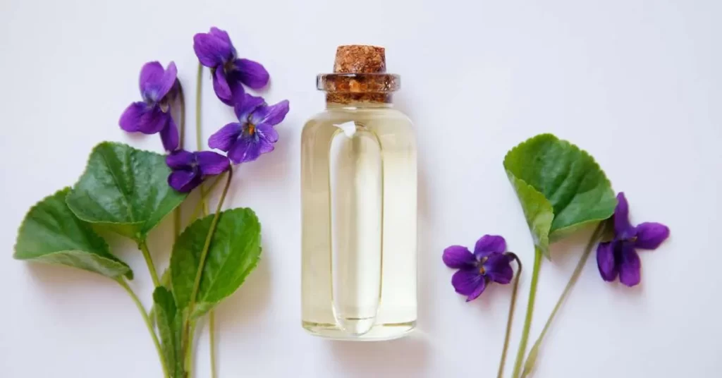 زهور البنفسج Violet - صورة 4