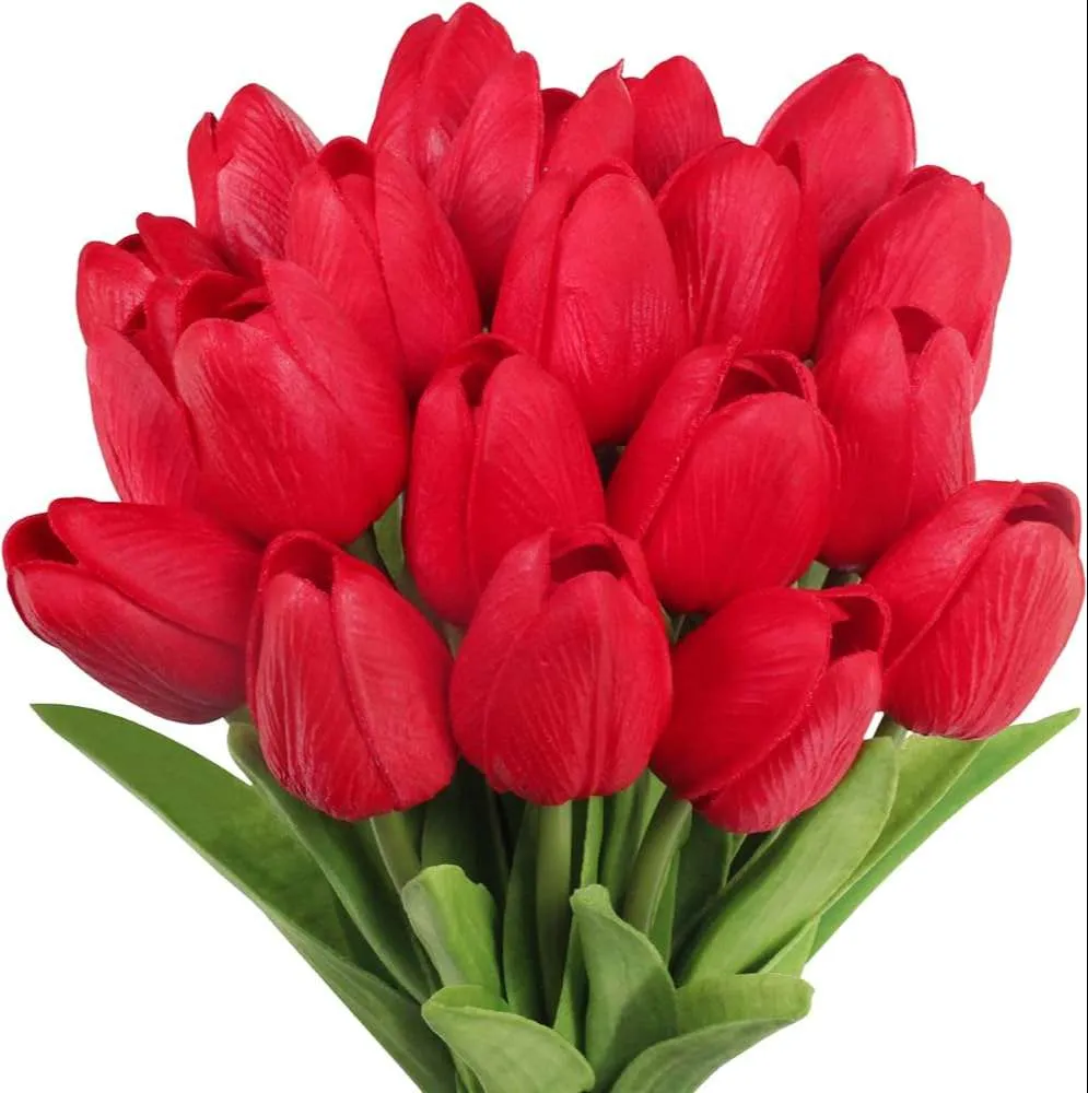 زهور التوليب Tulip