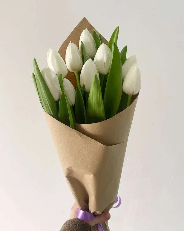 زهور التوليب Tulip - صورة 4