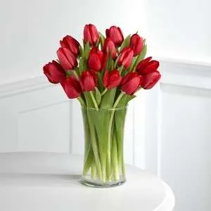 زهور التوليب Tulip - صورة 5