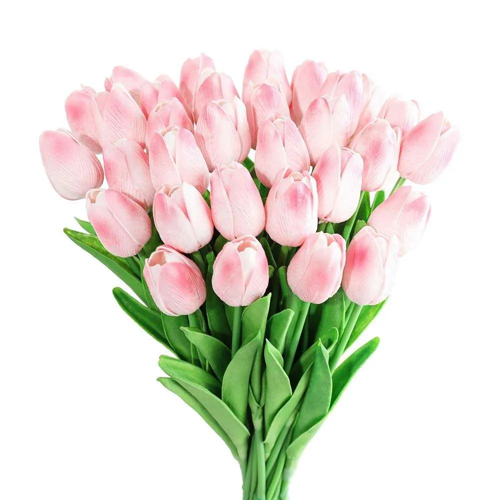 زهور التوليب Tulip - صورة 6