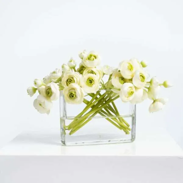 زهور الحوذان Buttercup - صورة 4
