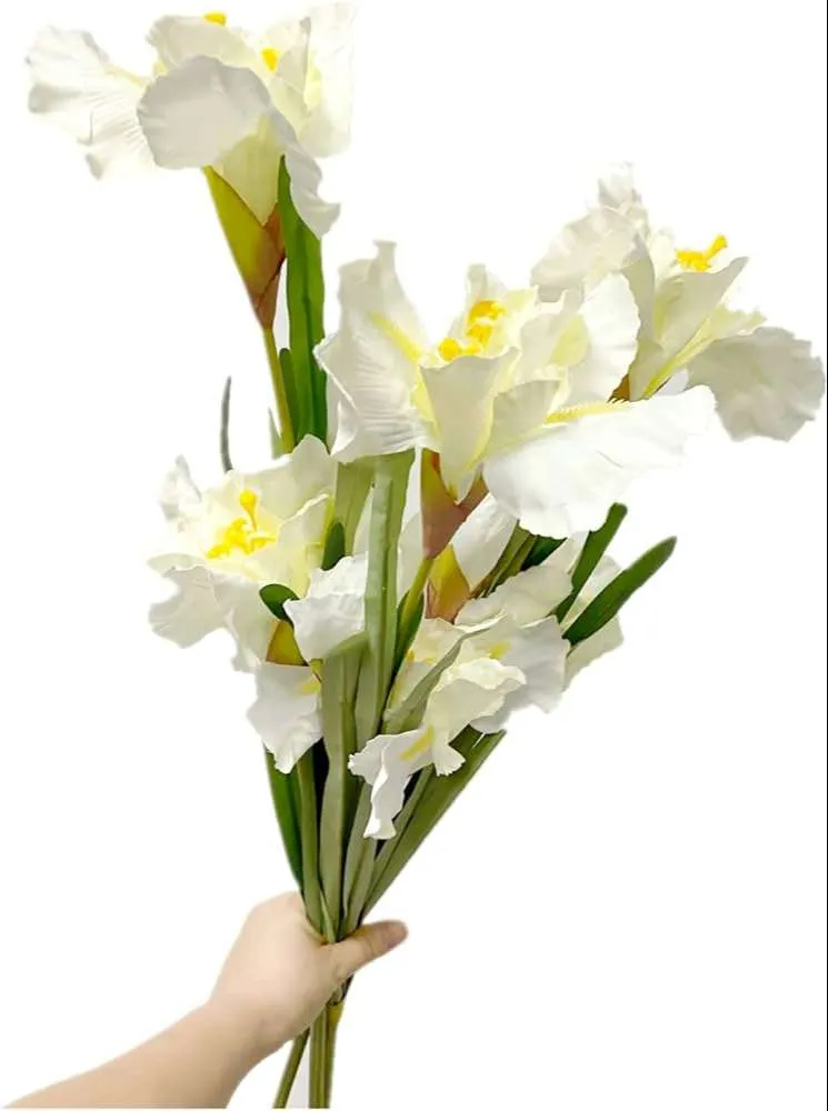 زهور السوسن Irises