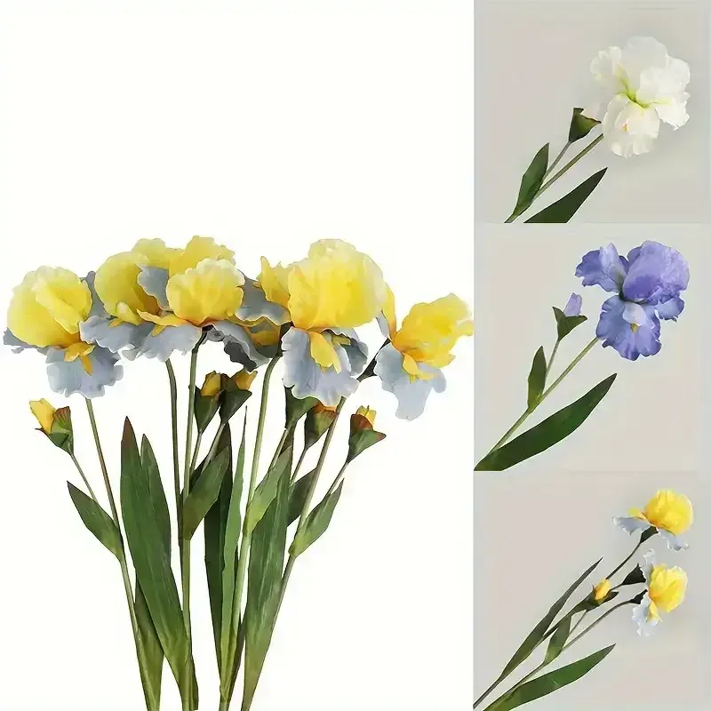 زهور السوسن Irises - صورة 6