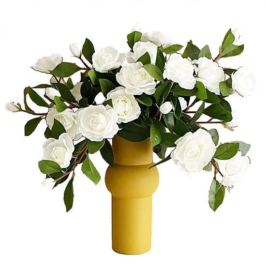 زهور الغاردينيا Gardenia