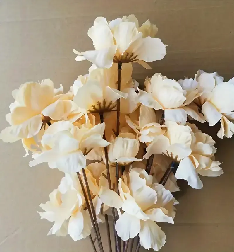 زهور الغاردينيا Gardenia - صورة 3