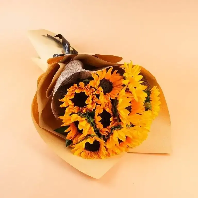 زهور دوار الشمس Sunflower - صورة 2