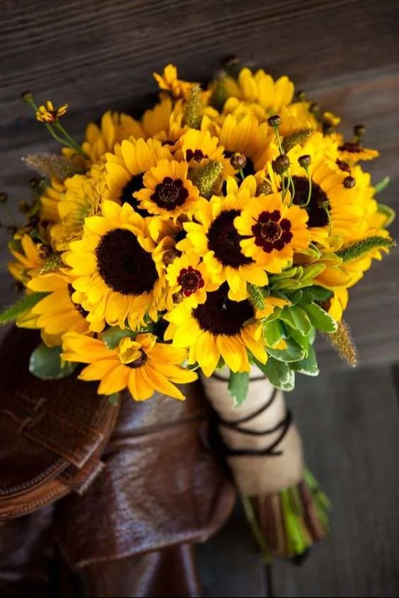 زهور دوار الشمس Sunflower - صورة 3