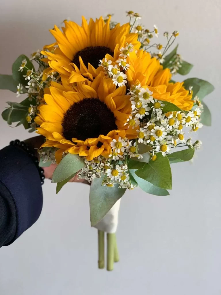 زهور دوار الشمس Sunflower - صورة 6