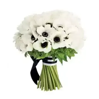 زهور شقائق النعمان Poppy anemone