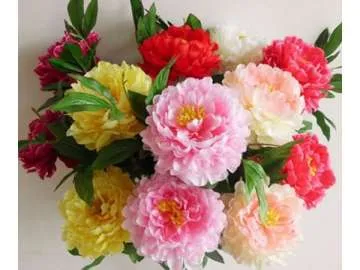 عود الصليب Peony - صورة 2