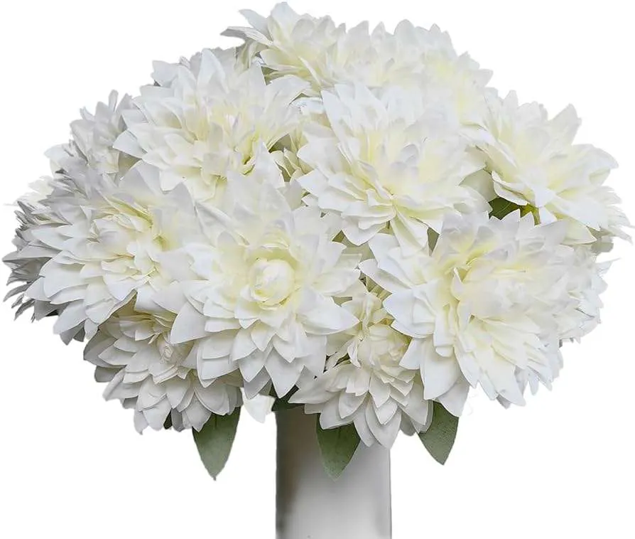 ورد اضاليا Dahlia - صورة 6