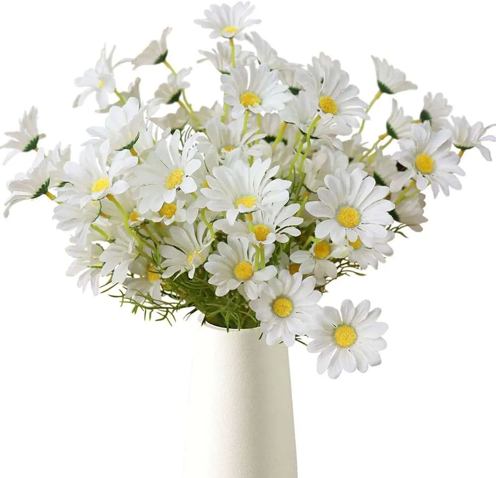 ورد الاقحوان Chrysanthemum