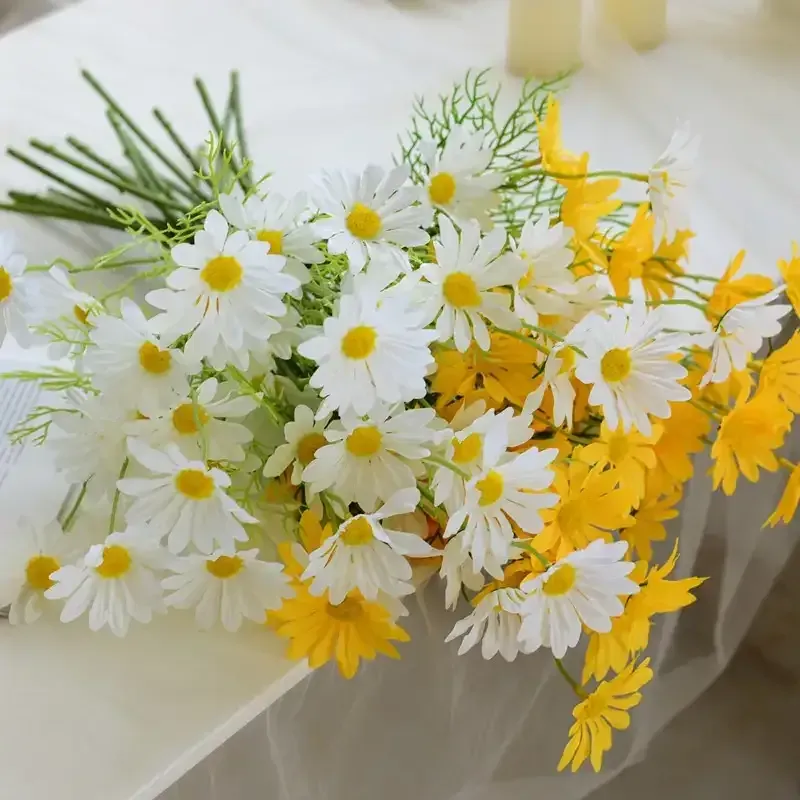 ورد الاقحوان Chrysanthemum - صورة 2