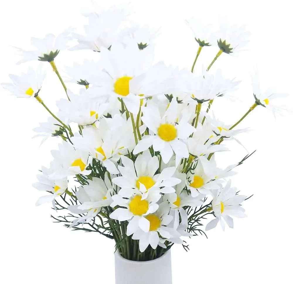 ورد الاقحوان Chrysanthemum - صورة 6