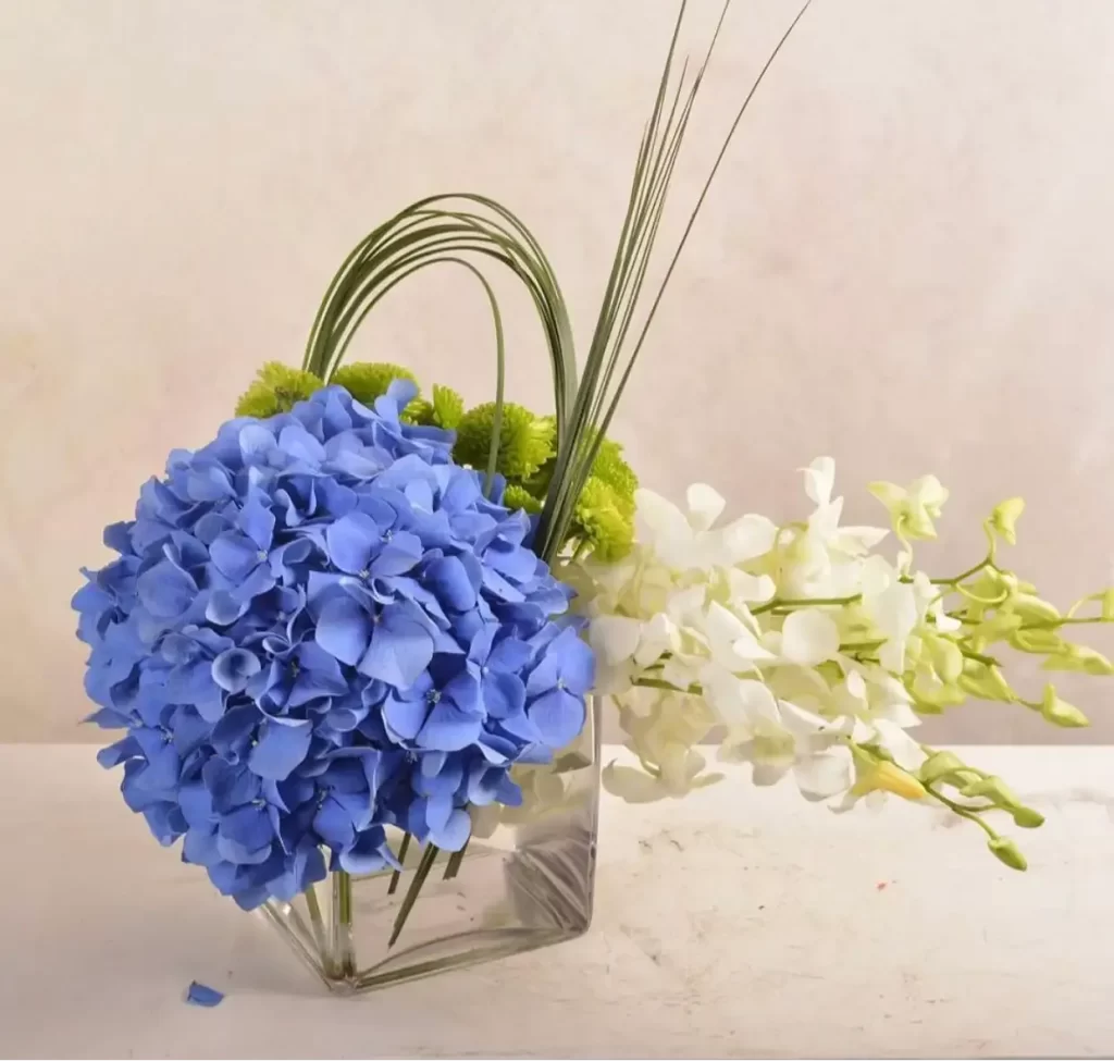 ورد الاوركيد Orchids - صورة 3
