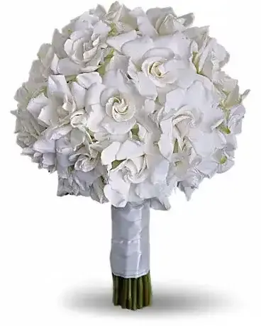 ورد الجاردينيا Gardenia - صورة 5