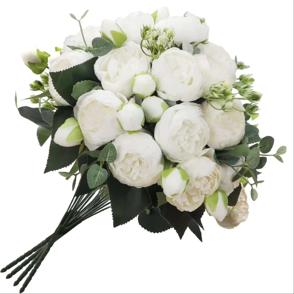 ورد الفاوانيا Peony