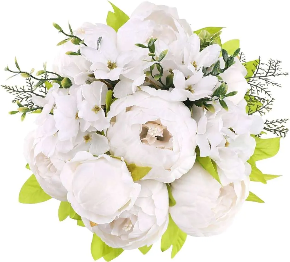 ورد الفاوانيا Peony - صورة 2