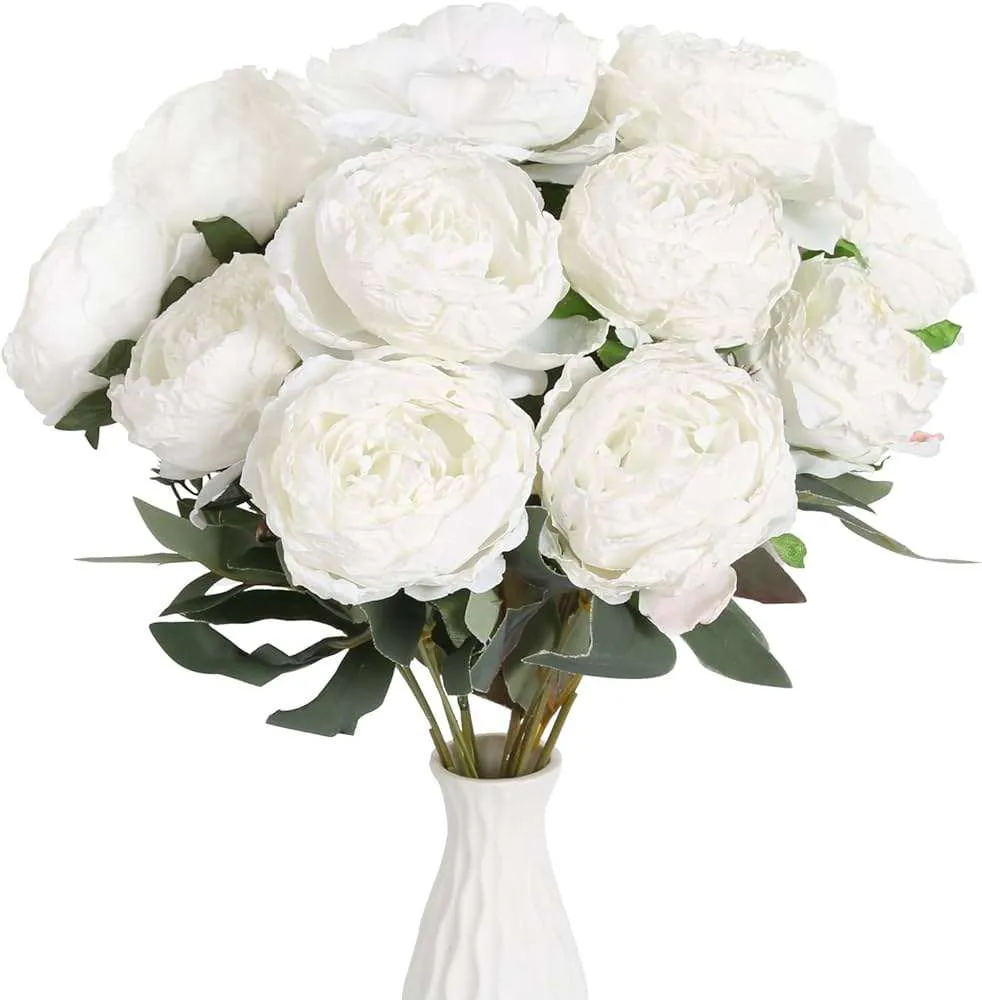 ورد الفاوانيا Peony - صورة 3