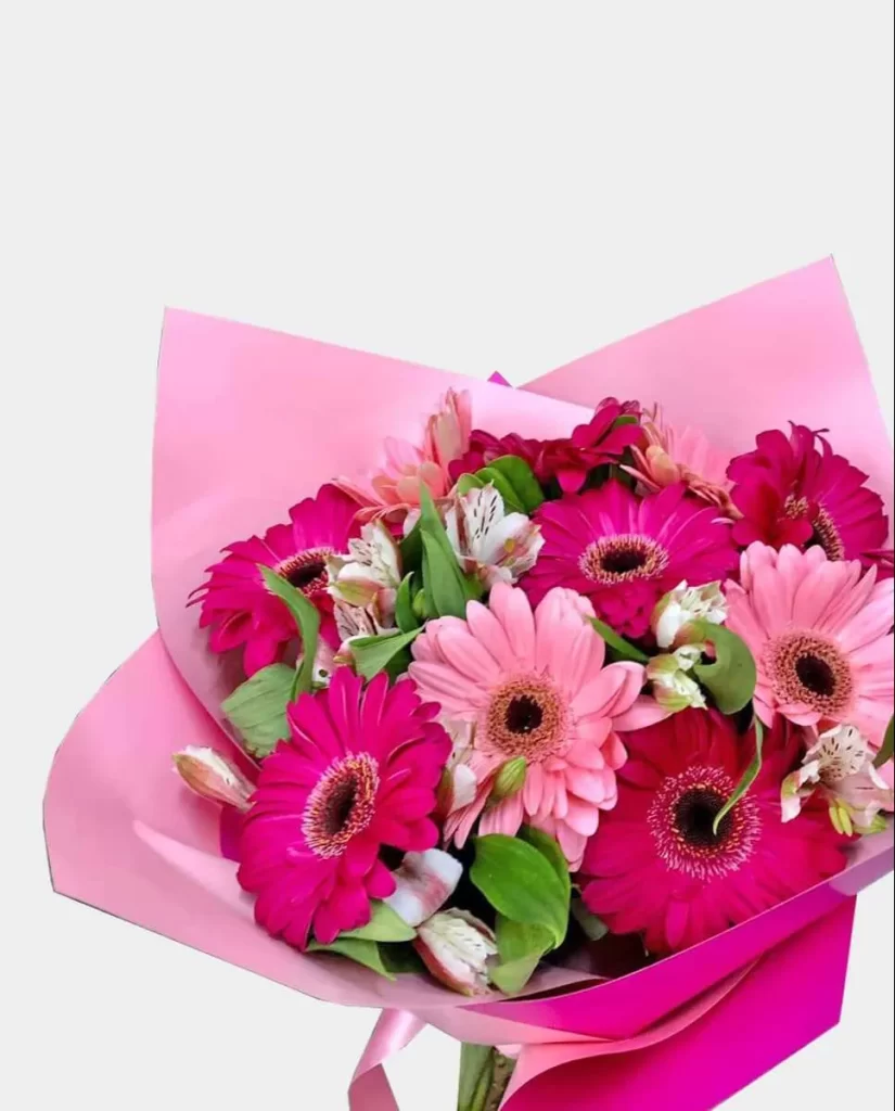 ورد جيربيراس Gerbera - صورة 4