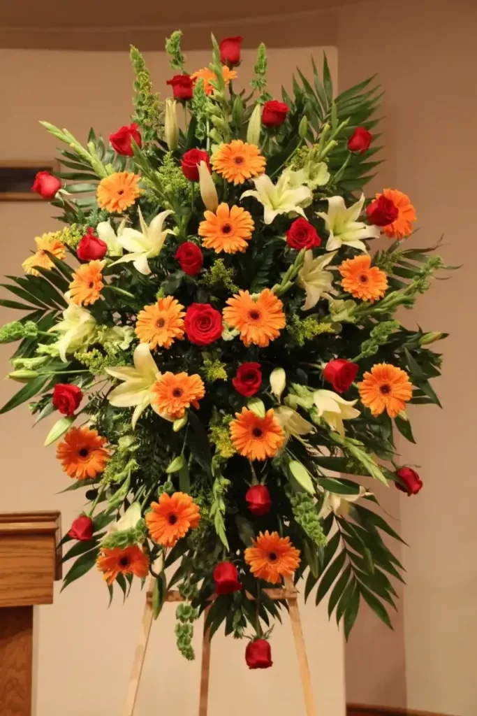 ورد جيربيراس Gerbera - صورة 6