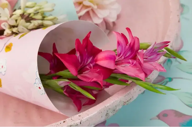 ورد دلبوث Gladiolus - صورة 4