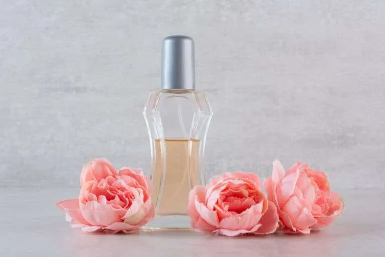 ورود الكاميليا Camellia - صورة 4