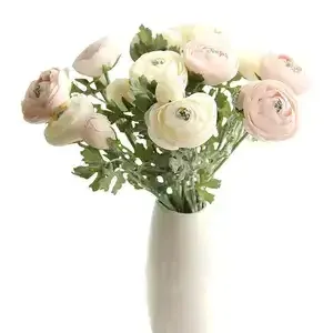 ورود الكاميليا Camellia - صورة 5