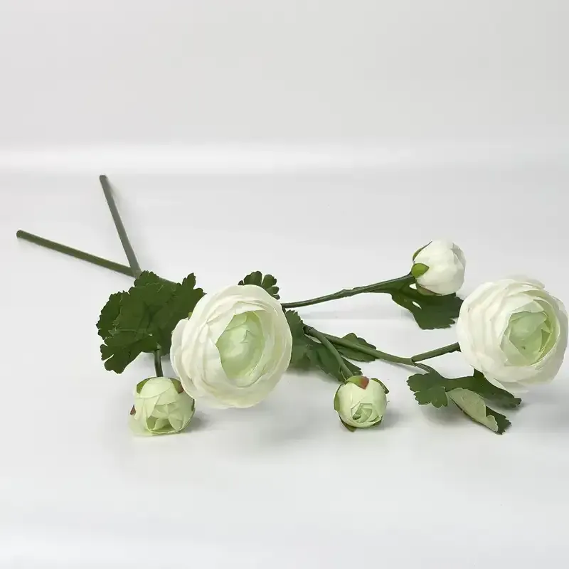 ورود الكاميليا Camellia - صورة 6